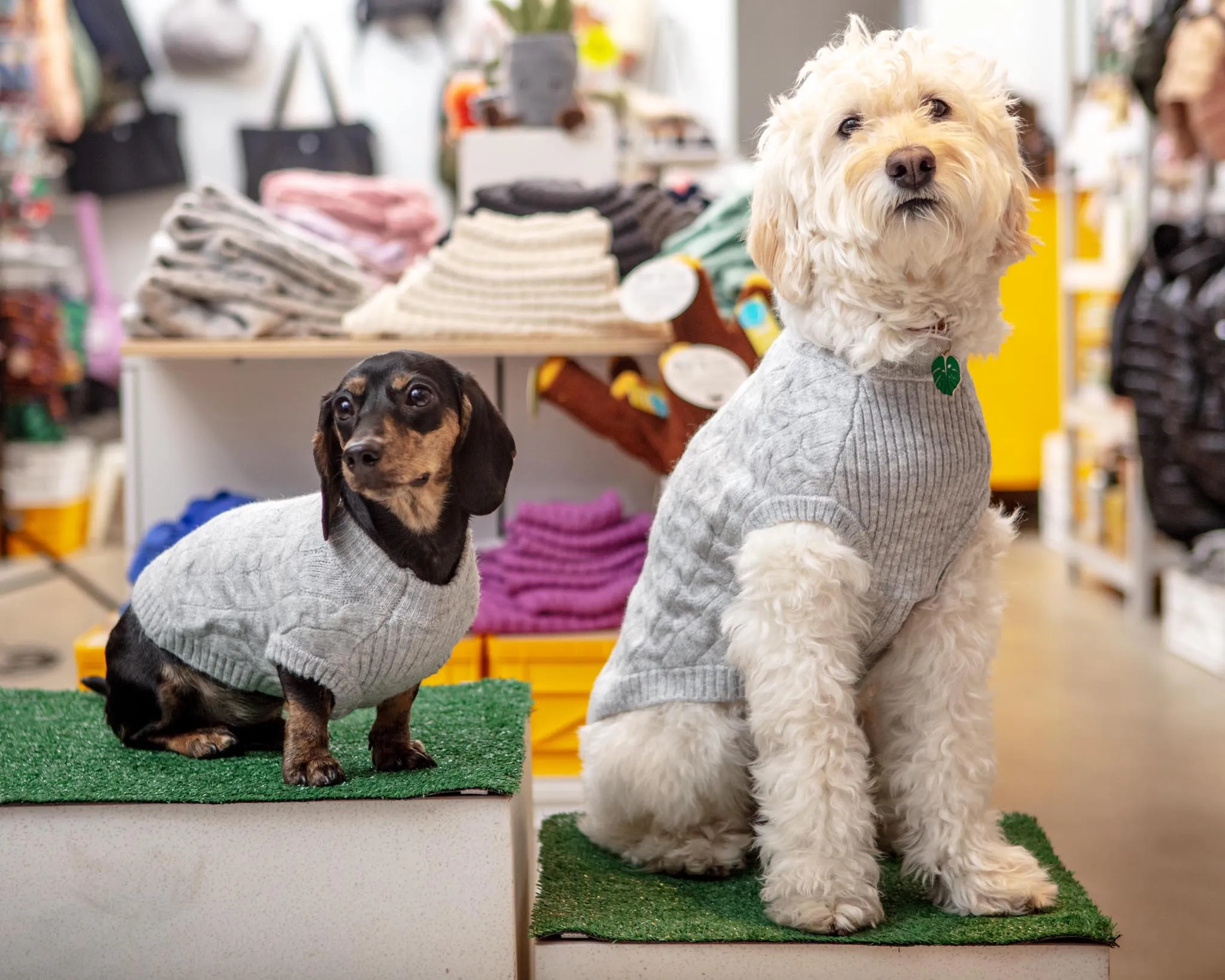 Fuzzy Knit Dog Crewneck Sweater in Heather Grey (FINAL SALE)