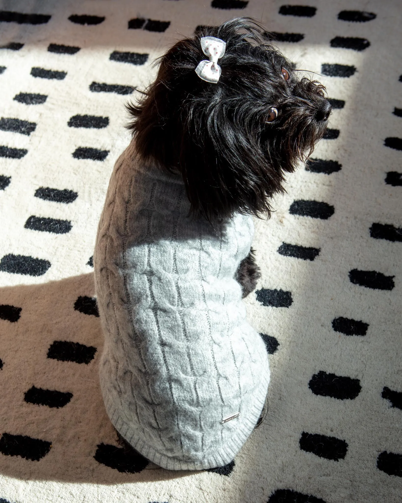 Fuzzy Knit Dog Crewneck Sweater in Heather Grey (FINAL SALE)