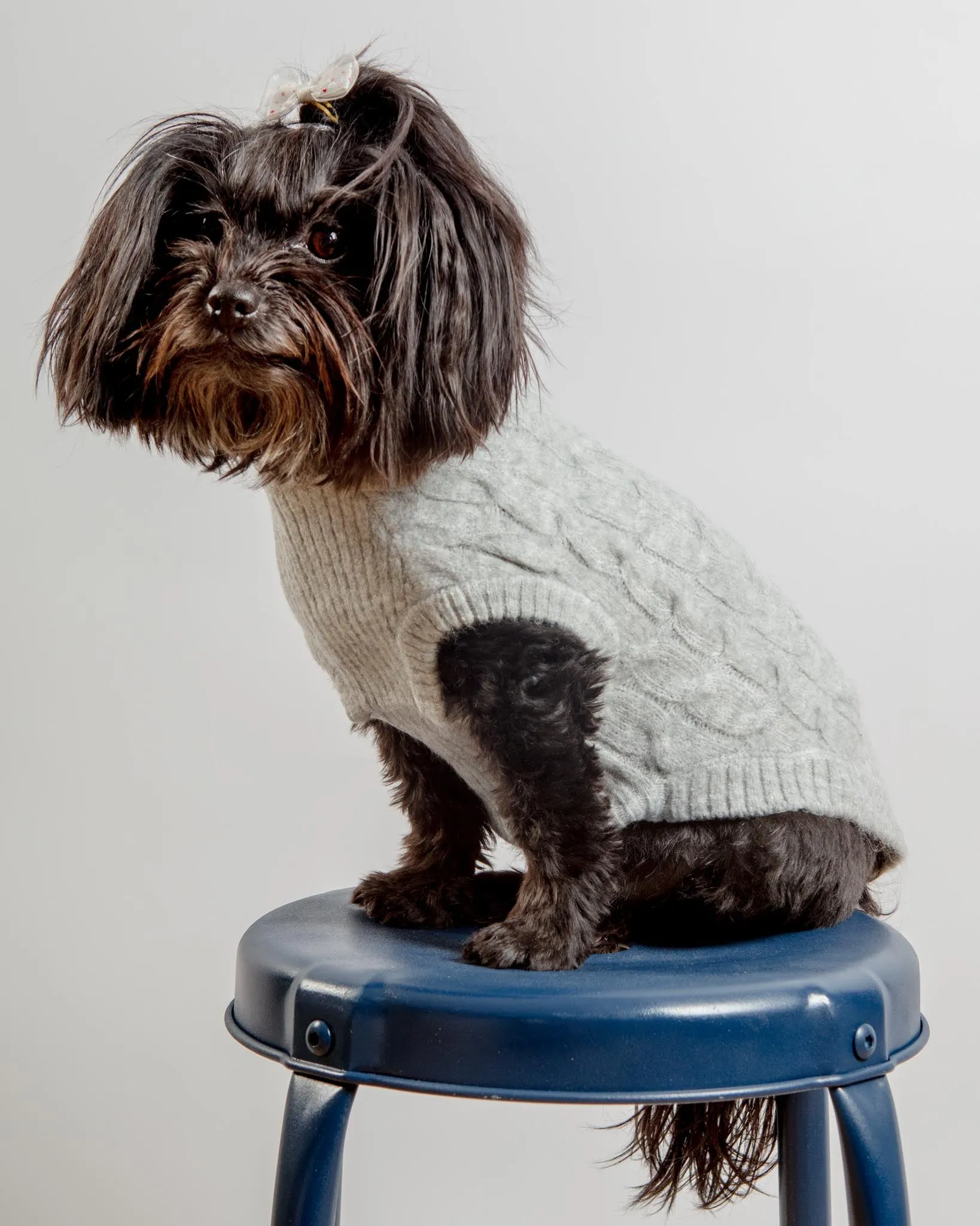 Fuzzy Knit Dog Crewneck Sweater in Heather Grey (FINAL SALE)