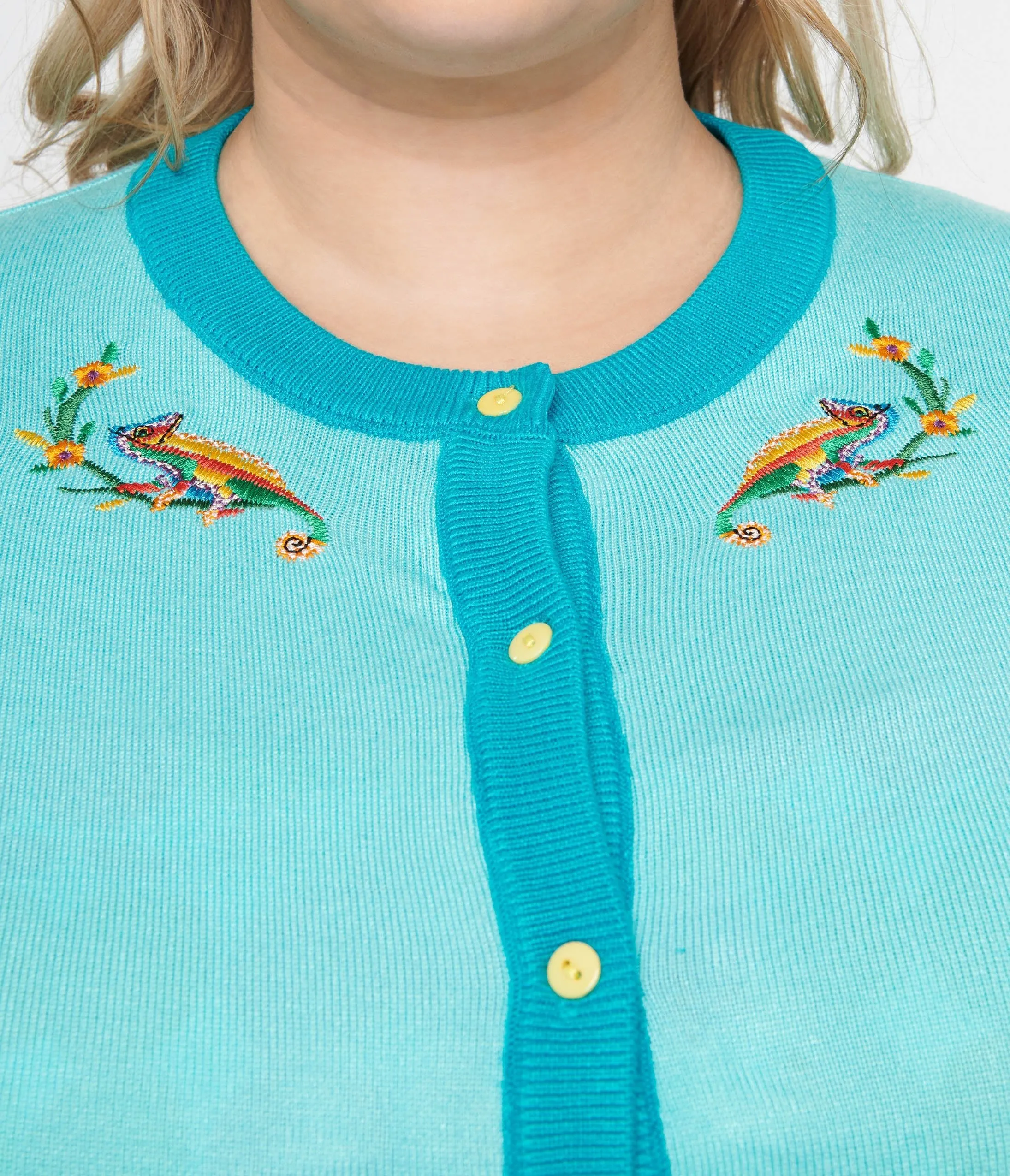 Plus Size 1950s Light Blue & Chameleon Cardigan