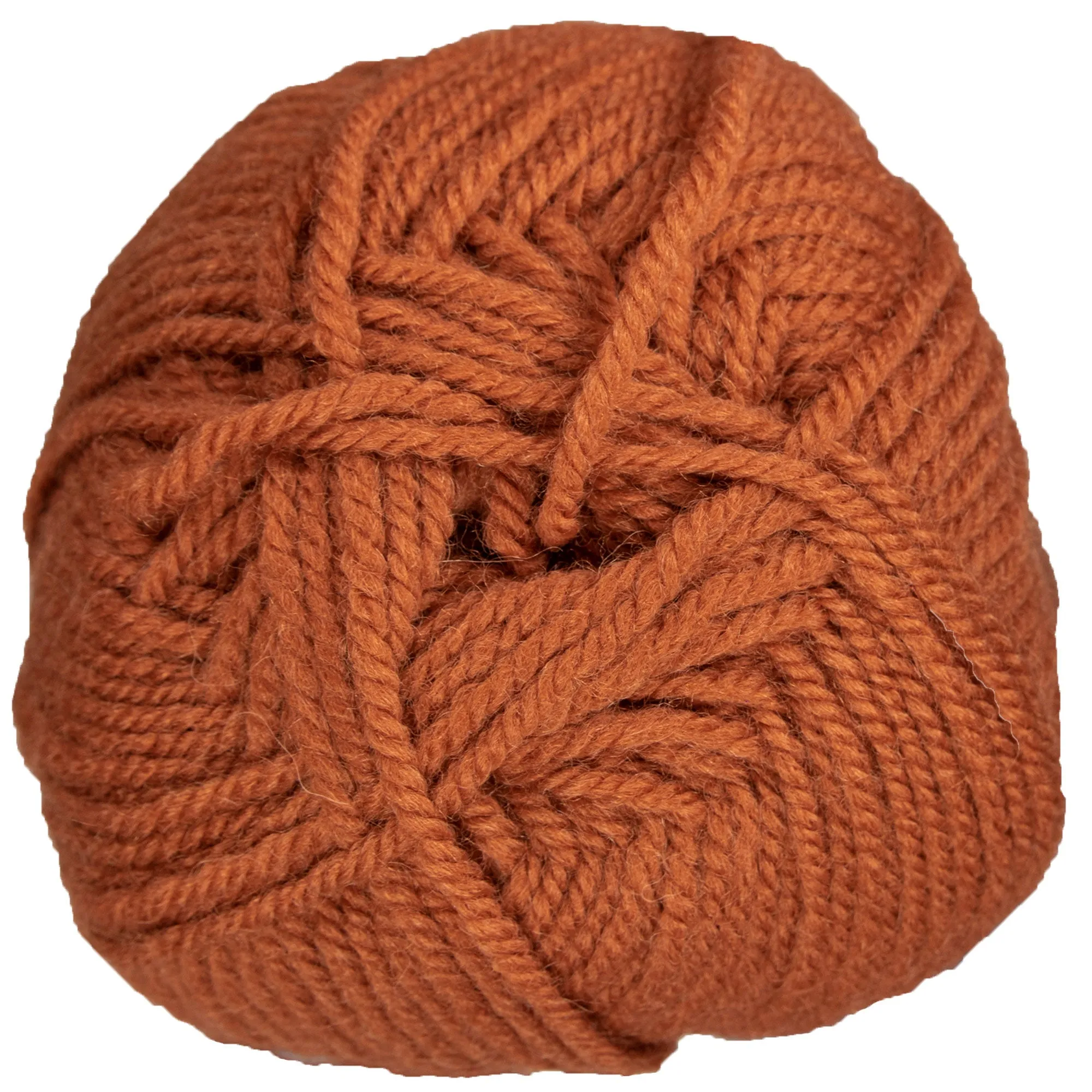 Plymouth Yarn Encore Worsted Yarn - 1236 Pumpkin Pie