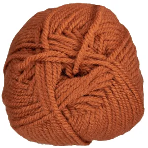 Plymouth Yarn Encore Worsted Yarn - 1236 Pumpkin Pie